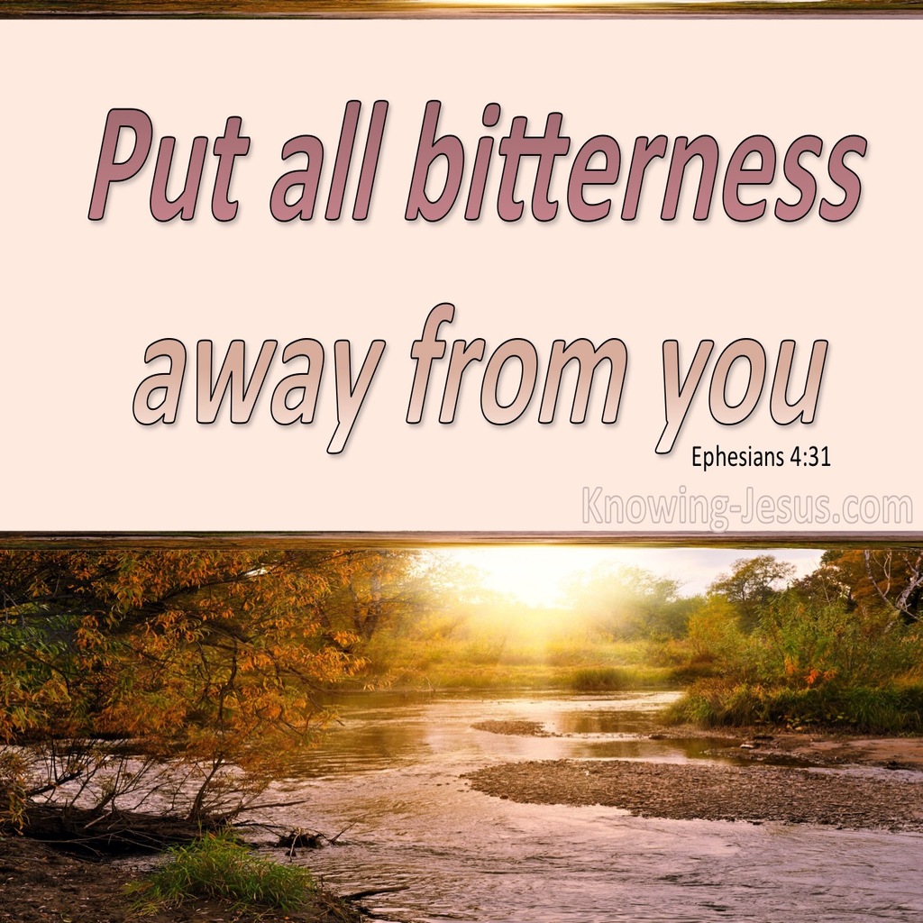 Ephesians 4:31 Put Away All Bitterness And Wrath (pink)